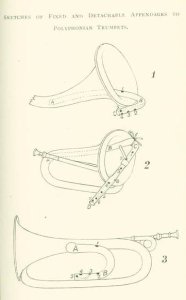 Fascinatingly Forgotten Polymath: Dr. William Close