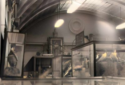 Part 3: Mummy’s Hand & Vanished Wings