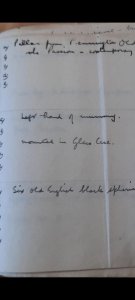 The Mummy’s Hand: Lost Relic or Legend?